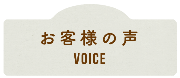 voice